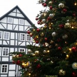 Kalendertürchen5